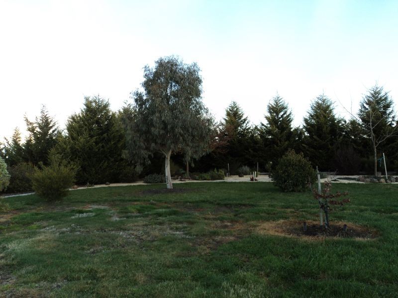 729 Remembrance Drive, Cardigan VIC 3352