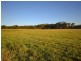 188 Pound Creek Road, Ballarat VIC 3350