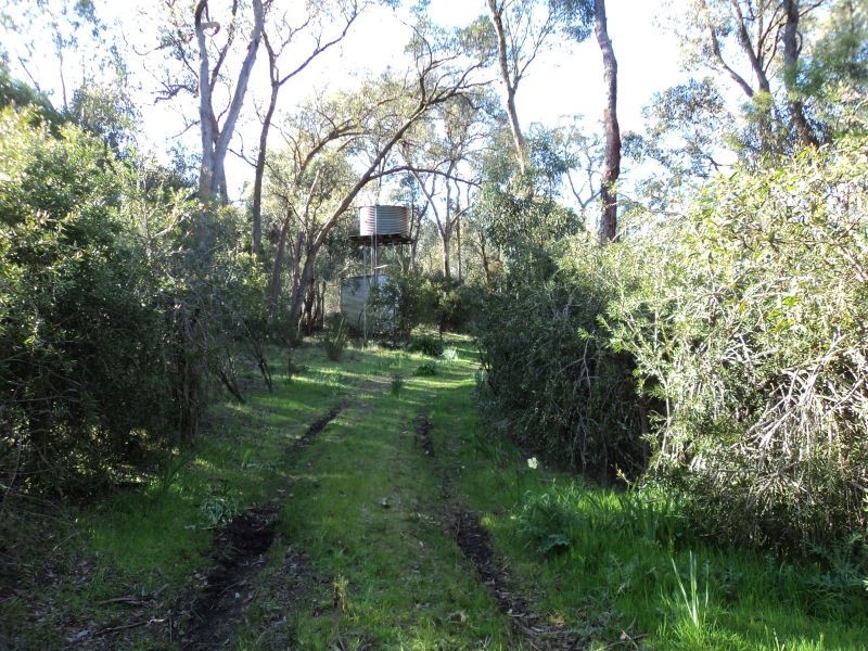 423 Dalgleishs Road, Beaufort VIC 3373