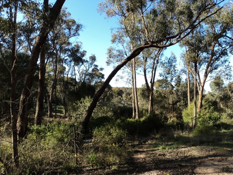 423 Dalgleishs Road, Beaufort VIC 3373