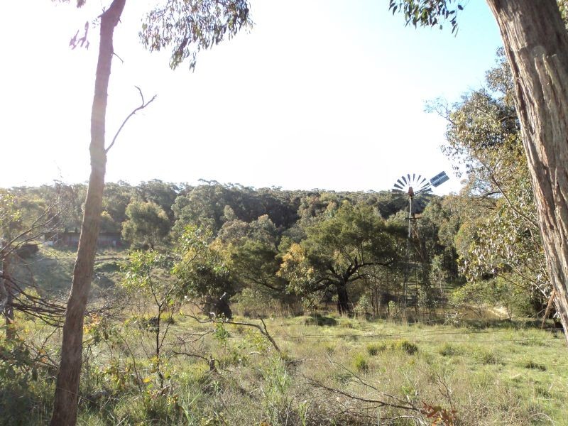 423 Dalgleishs Road, Beaufort VIC 3373