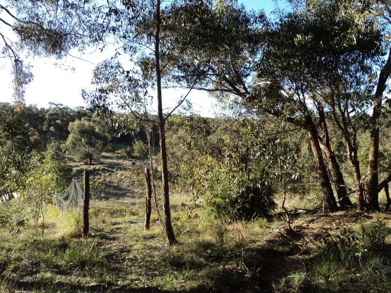 423 Dalgleishs Road, Beaufort VIC 3373