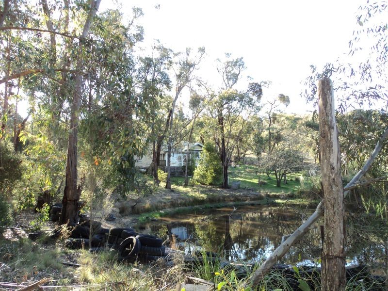 423 Dalgleishs Road, Beaufort VIC 3373