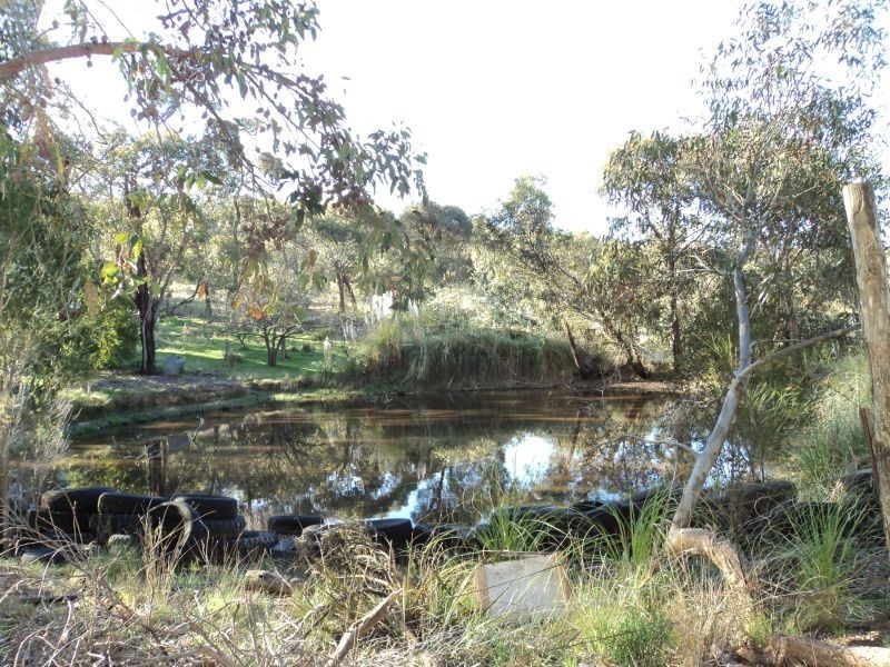 423 Dalgleishs Road, Beaufort VIC 3373