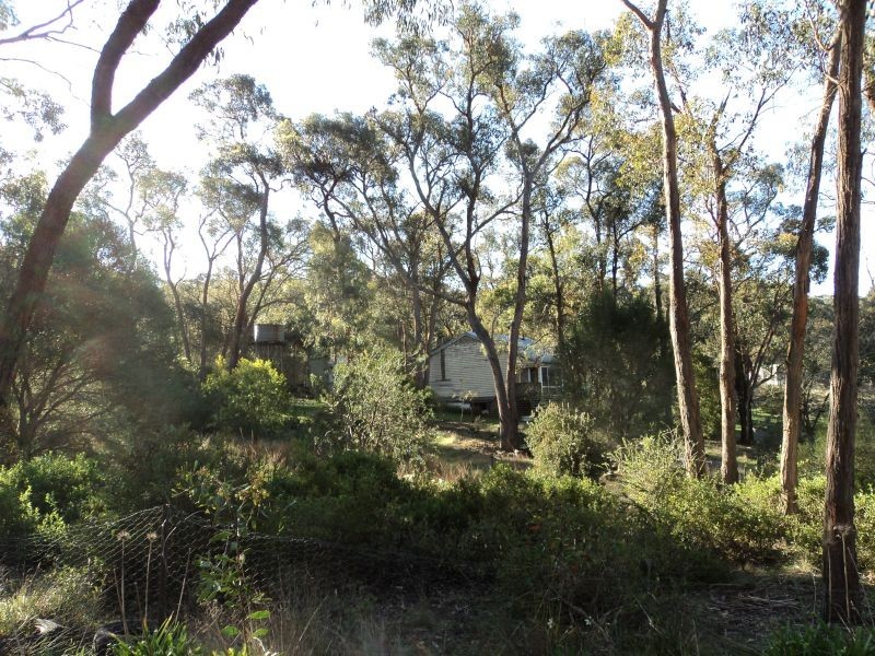 423 Dalgleishs Road, Beaufort VIC 3373