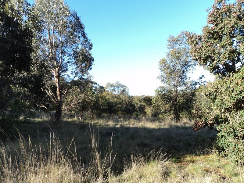 423 Dalgleishs Road, Beaufort VIC 3373