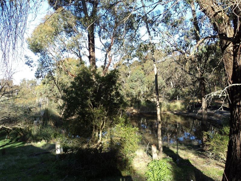 423 Dalgleishs Road, Beaufort VIC 3373