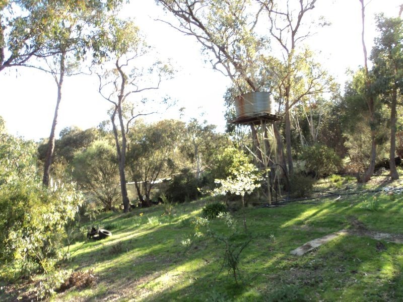 423 Dalgleishs Road, Beaufort VIC 3373