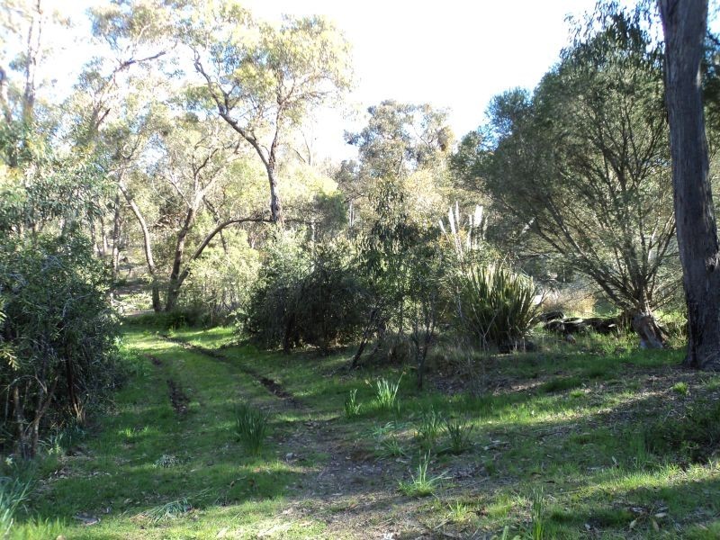 423 Dalgleishs Road, Beaufort VIC 3373