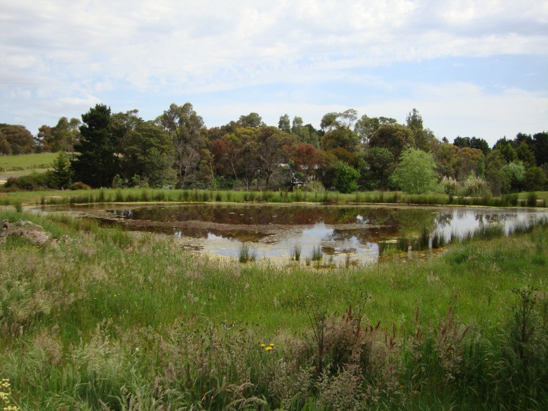 336 Sago Hill Road, Haddon VIC 3351