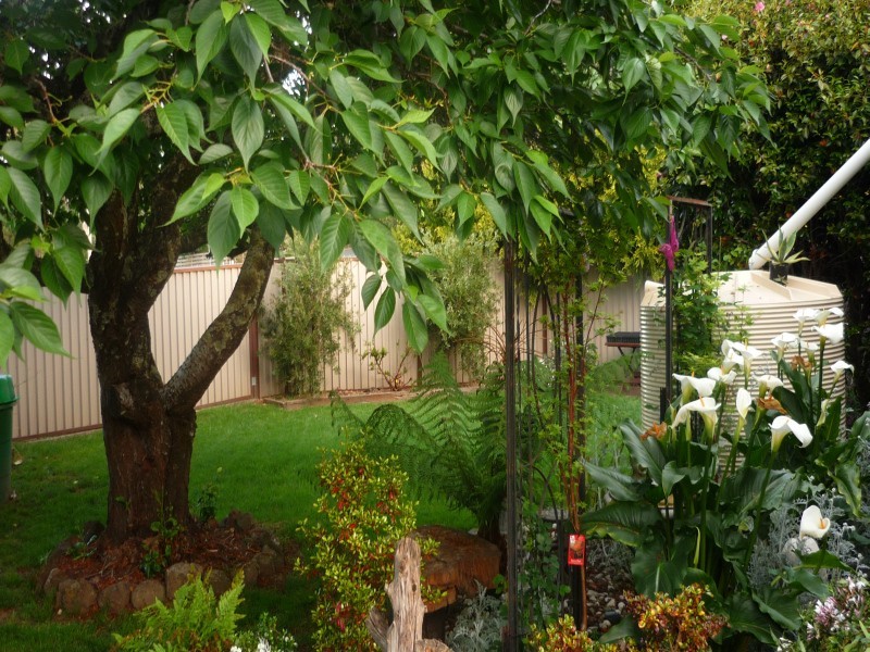 21 Semmens Avenue, Creswick VIC 3363