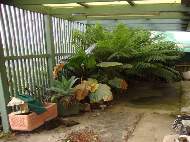 18 Lawrence Street, Sebastopol VIC 3356