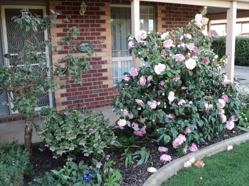 27 Shari Drive, Delacombe VIC 3356