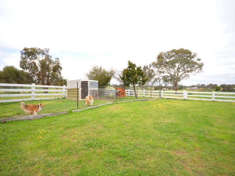 36 Bute Close, Clunes VIC 3370