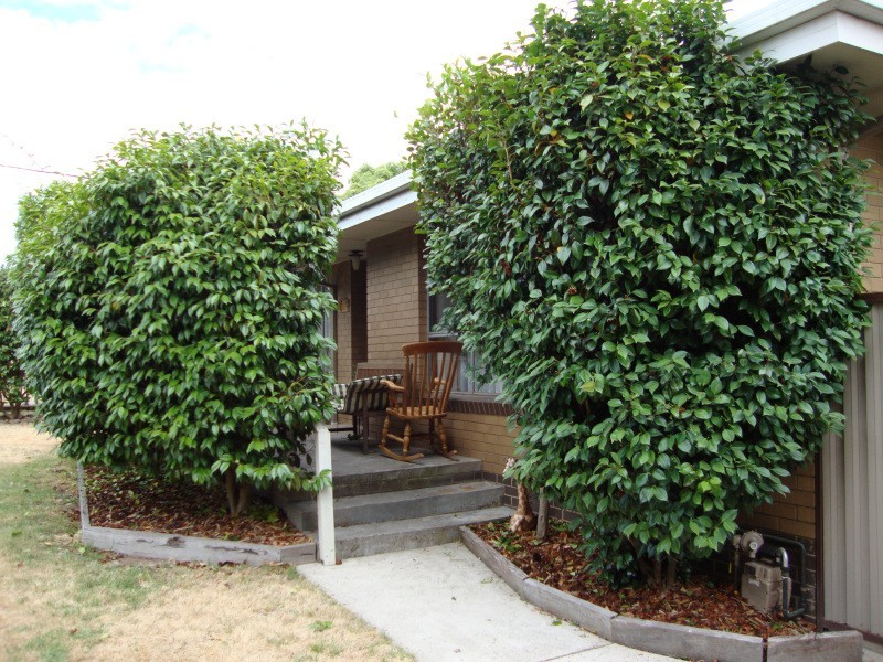 21 Semmens Avenue, Creswick VIC 3363