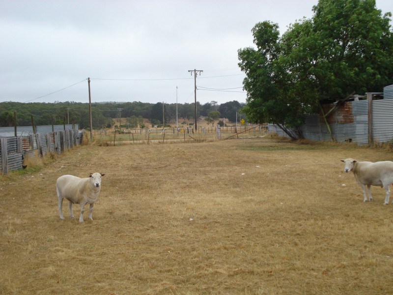 Brooke Street, Smythesdale VIC 3351