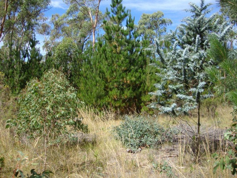 Lot 2 Ross Creek-Haddon Road, Ross Creek VIC 3351