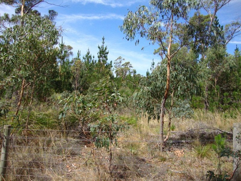 Lot 2 Ross Creek-Haddon Road, Ross Creek VIC 3351