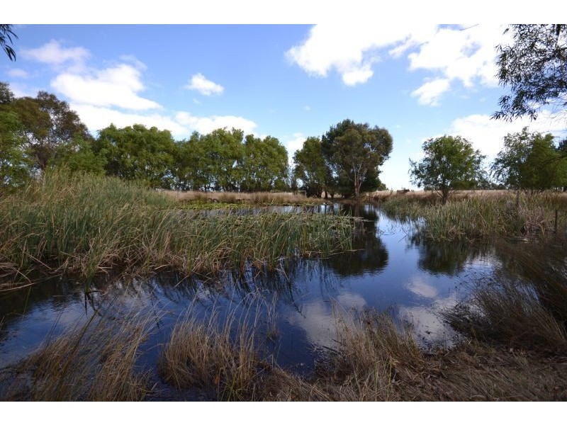 117 Crown & Sceptre Road, Cardigan VIC 3352