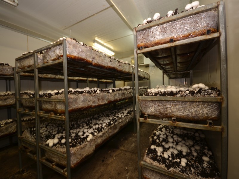 Smythes Creek VIC 3351