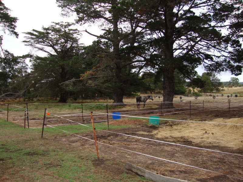 340 Scarsdale-Pitfield Road, Newtown VIC 3351