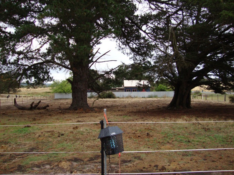 340 Scarsdale-Pitfield Road, Newtown VIC 3351