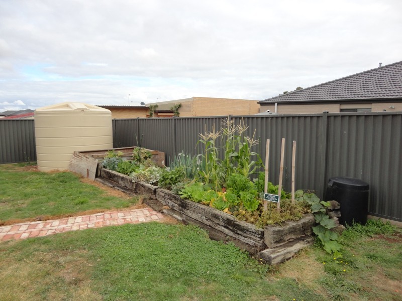 16 Brahman Drive, Delacombe VIC 3356