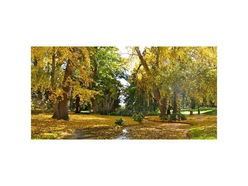 108B Scott Street, Buninyong VIC 3357