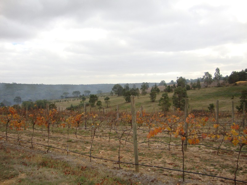 462 Staffordshire Reef Road, Staffordshire Reef VIC 3351