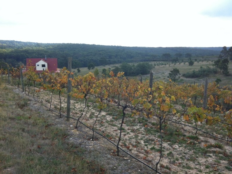 462 Staffordshire Reef Road, Staffordshire Reef VIC 3351