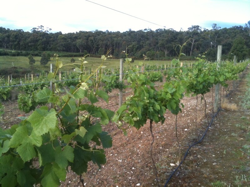 462 Staffordshire Reef Road, Staffordshire Reef VIC 3351