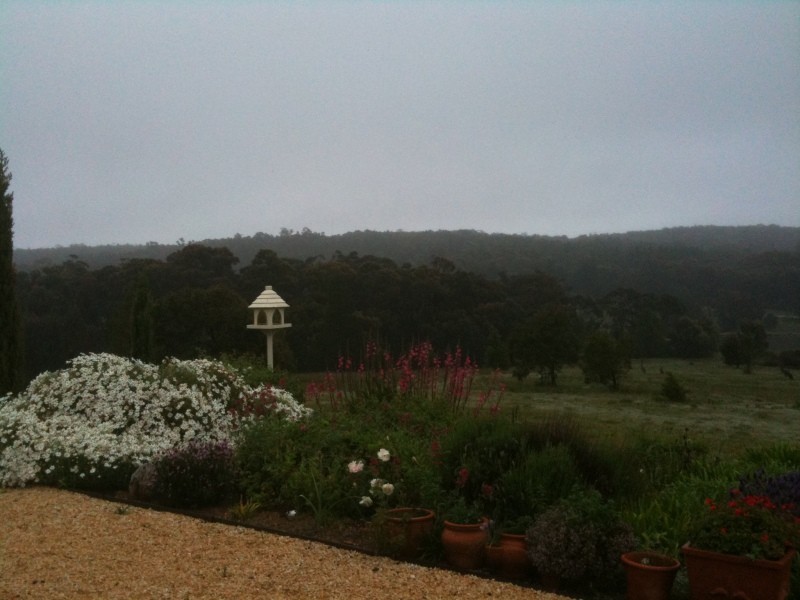 462 Staffordshire Reef Road, Staffordshire Reef VIC 3351