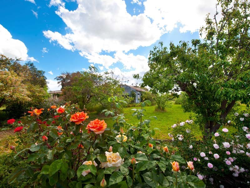 8 Macdonald Street, Clunes VIC 3370