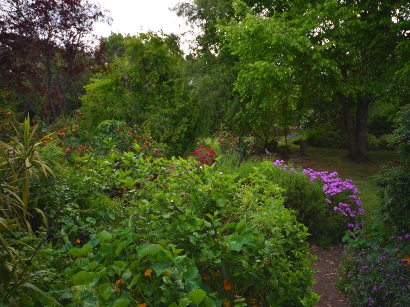 140 Argyle Road, Linton VIC 3360