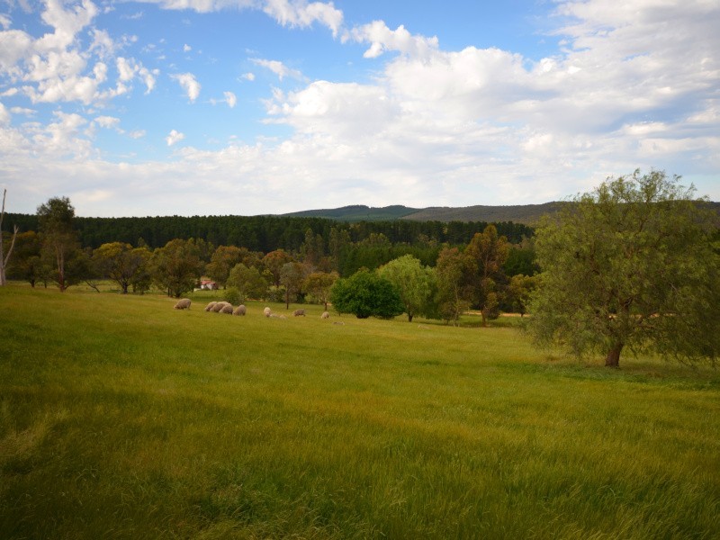 140 Argyle Road, Linton VIC 3360