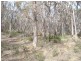Lot 17 Woodland Drive, Scarsdale VIC 3351