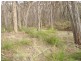 Lot 17 Woodland Drive, Scarsdale VIC 3351
