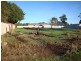 Lot 1, 137 Howe Street, Miners Rest VIC 3352