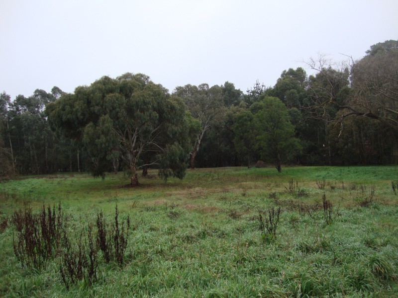 214 Stawell Street North, Brown Hill VIC 3350