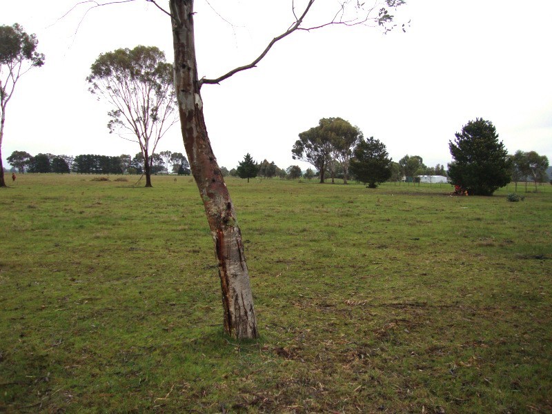 Lot 3 Exchequer Road, Cape Clear VIC 3351