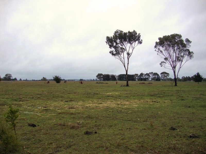 Lot 3 Exchequer Road, Cape Clear VIC 3351