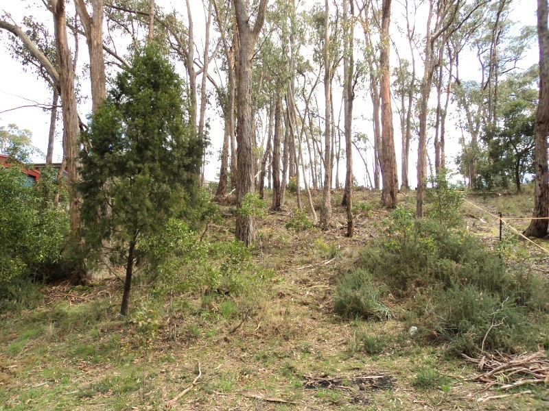 38 Darriwell Drive, Mount Helen VIC 3350