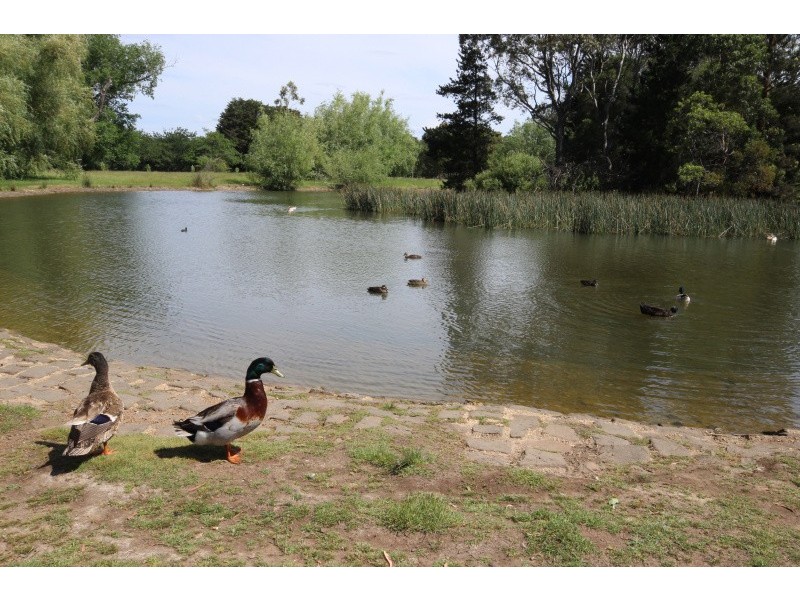 65 Gillies Street, Alfredton VIC 3350