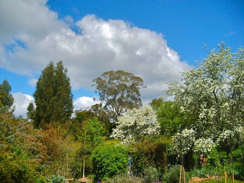 3 Fifteenth Street, Hepburn Springs VIC 3461