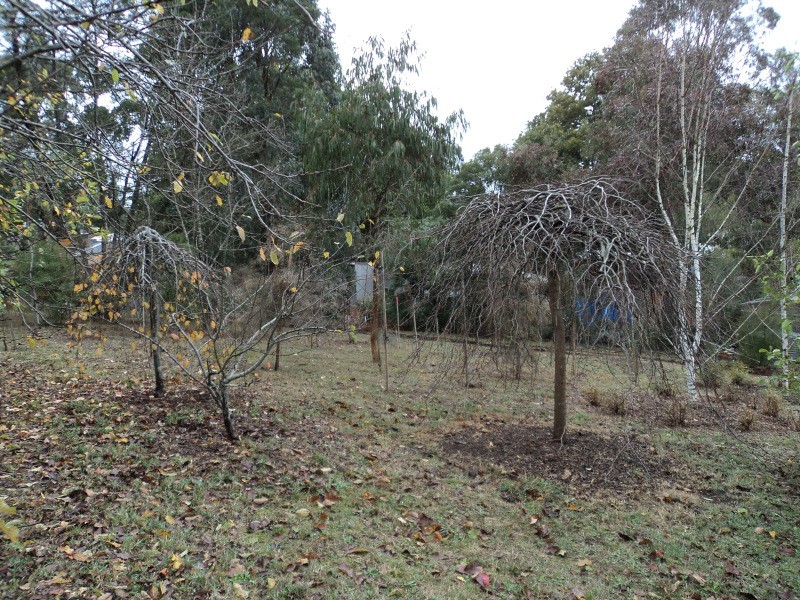 Lots 2, 3, 4&5/901-903 Cathcart Street, Buninyong VIC 3357