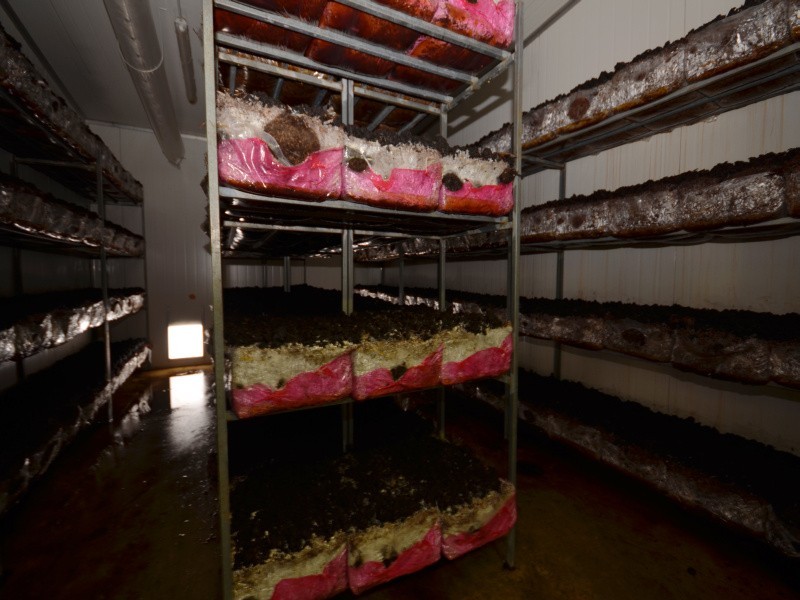 Smythes Creek VIC 3351