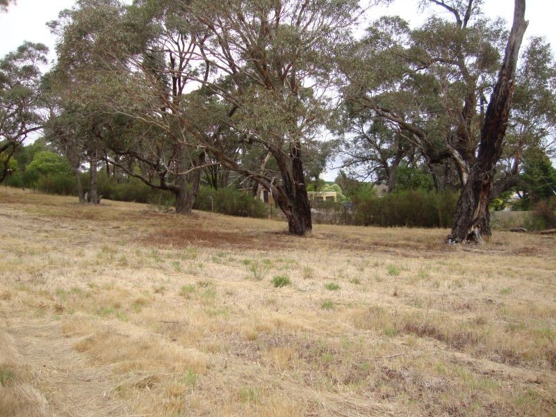 Lots1-5,33 Olinda Street, Beaufort VIC 3373