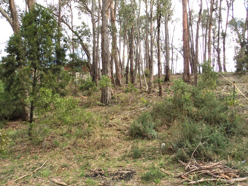 38 Darriwell Drive, Mount Helen VIC 3350