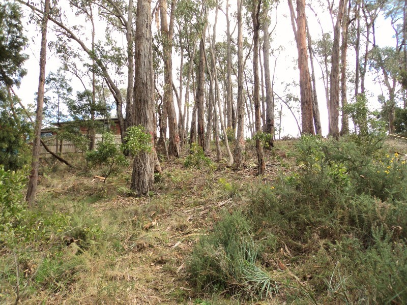 38 Darriwell Drive, Mount Helen VIC 3350