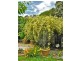 3 Fifteenth Street, Hepburn Springs VIC 3461